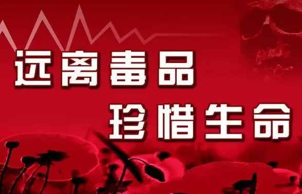 汝南县公安局禁毒大队开展禁毒宣传进校园活动