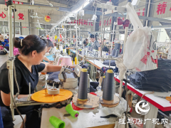 平舆县辛店乡黄寨村：党建“双提升”推进“三园”建设加速度