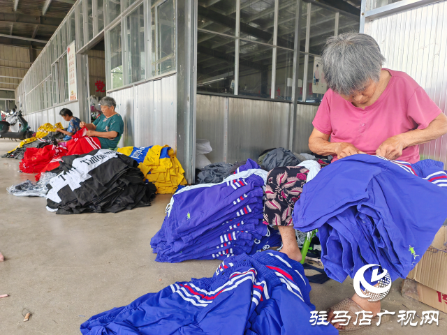 平舆县辛店乡黄寨村：以党建“双提升”活动为载体推进“三园”建设不断加速