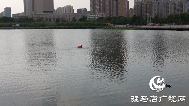 无视警示 私自下水游泳很危险