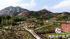 泌阳县下碑寺乡：依托地理优势 发展旅游产业