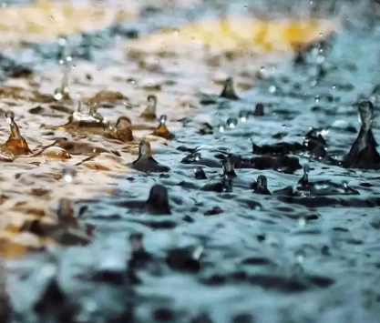大雨+暴雨+大暴雨！景区临时闭园！驻马店马上下！