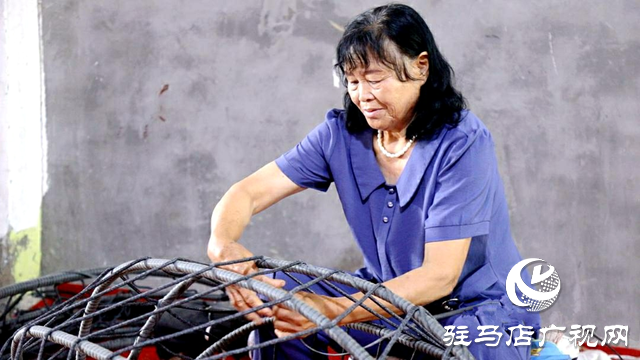 新蔡：党建引领发展乡村产业增强发展动能