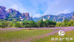 驻马店：景区推出优惠活动 暑期惠及广大学生