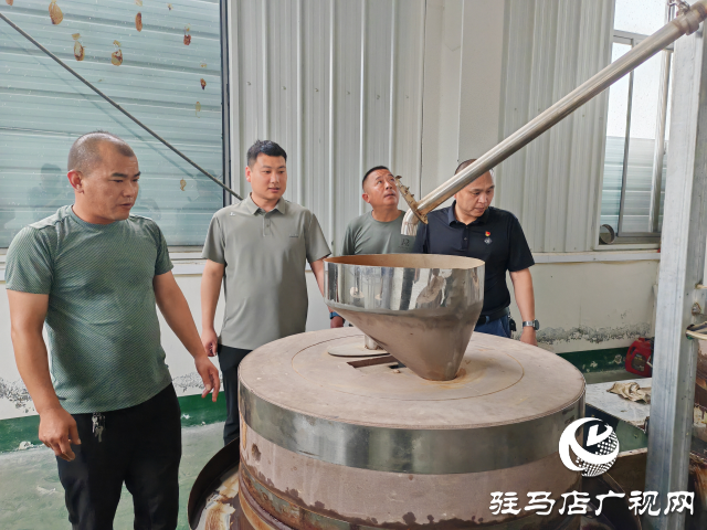 平舆县十字路乡十字路村：党建联动“双提升” 强村富民促振兴