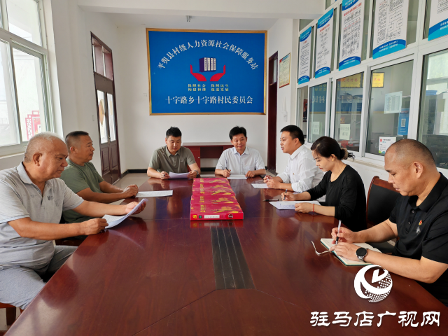 平舆县十字路乡十字路村：党建联动“双提升” 强村富民促振兴