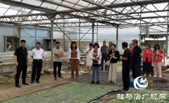 河南省统计局老干部调研组到驿城区开展专题调研