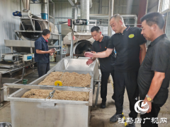 平舆县古槐街道南陈社区：争做“五星”支部新标杆 擘画基层治理新格局
