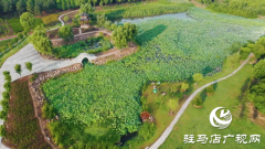 汉风公园：城市中的如画仙境