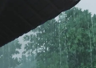 暴雨来袭！专业解读农田渍涝灾害风险如何预防