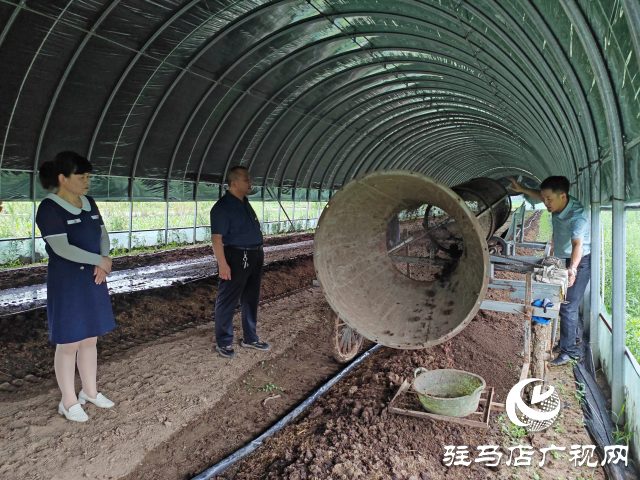 平舆县辛店乡黄寨村：蚯蚓养殖“蚓”出致富新路子