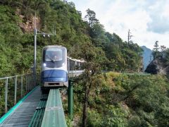 30列高山悬崖跨座式单轨游览车在江西交付