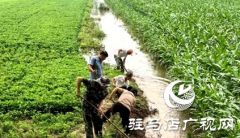 汝南县党员干部深入防汛一线 为群众筑起“红色堤坝”