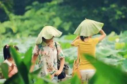 趁“热”收下这份消暑指南