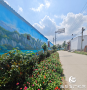 泌阳县下碑寺乡：花开美景添光彩 扮靓乡村高“颜值”