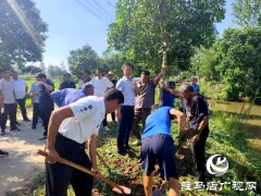 新蔡县顿岗乡：提升树木养护水平 共建绿色家园