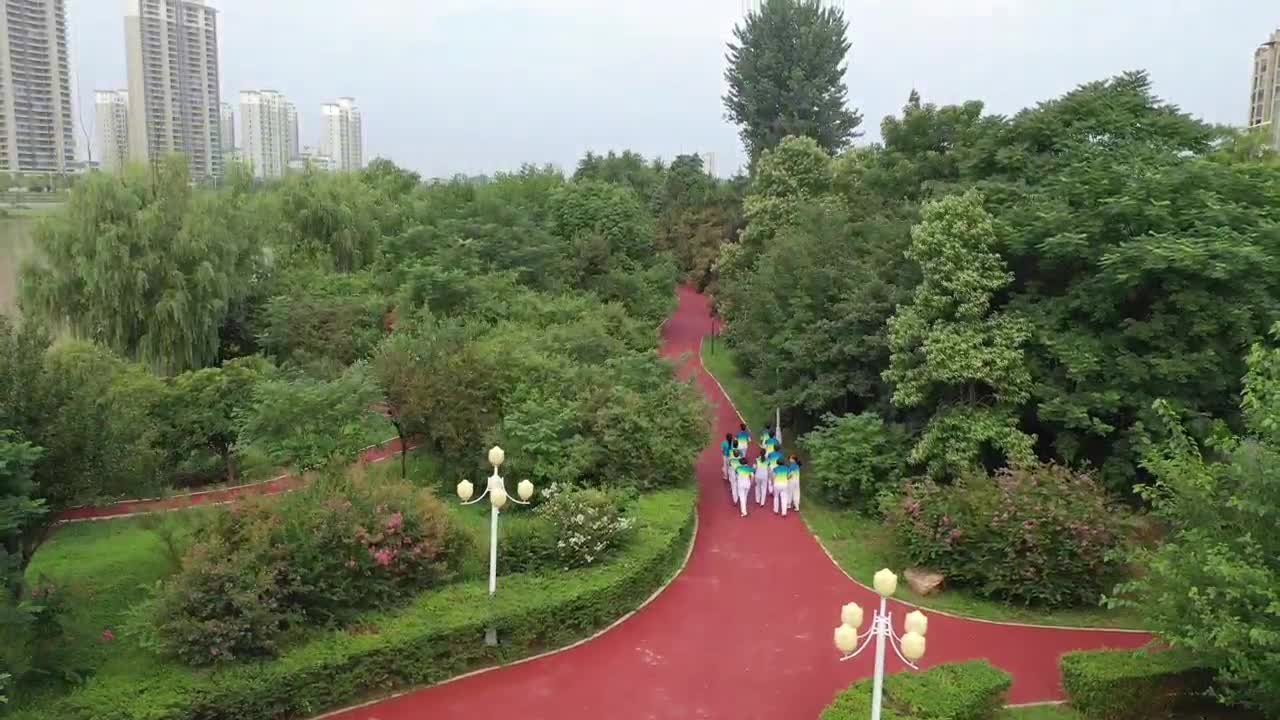 泌阳县南河公园晨练剪影：活力四溢 享受健康生活