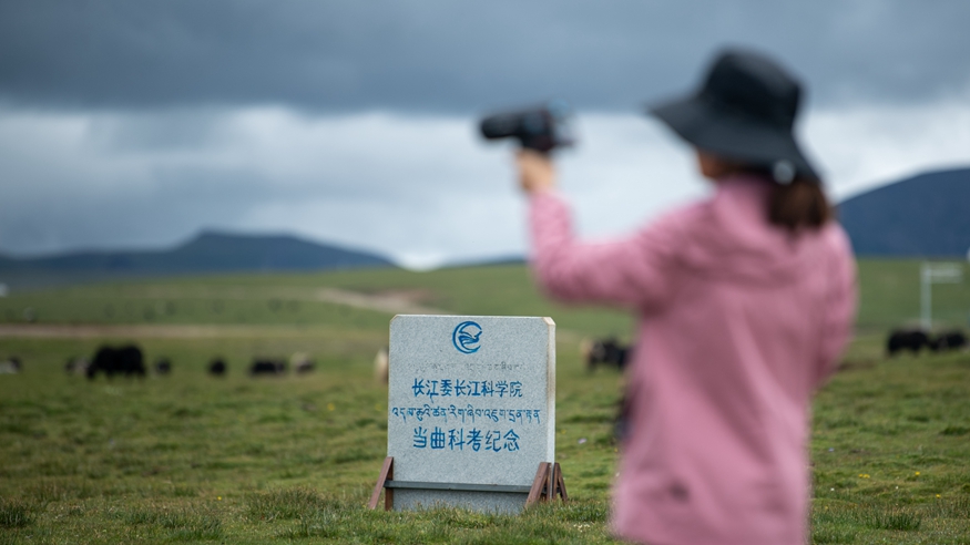 “铿锵玫瑰”在江源绽放