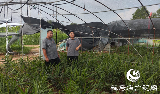 驻马店:深入贯彻党的二十届三中全会精神 谱写乡村振兴新篇章