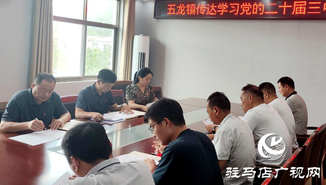 驻马店:深入贯彻党的二十届三中全会精神 谱写乡村振兴新篇章