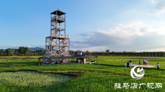 确山县留庄稻田公园：旅游融合发展 助力乡村振兴