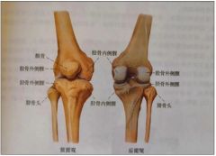 科普|走路时膝盖突然一“软”，是腿出问题了？专家解答