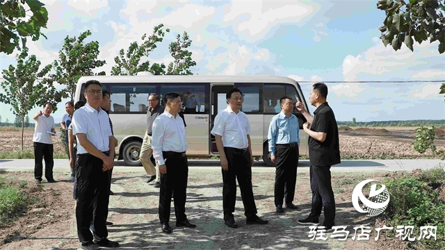 西平县调研农业受灾及恢复生产工作