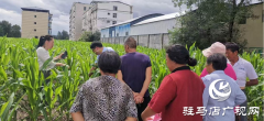 泌阳县农业农村局：加强技术培训 助力玉米单产提升