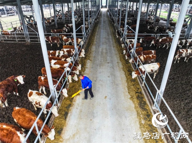 正阳县新阮店乡：全面发力“五星”支部创建  党建引领谱写乡村振兴新篇章