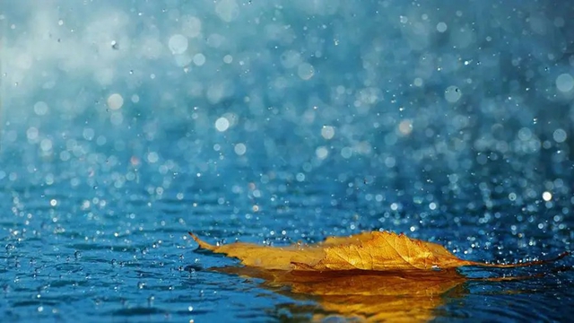 暴雨、雷暴大风！驻马店人注意防范！