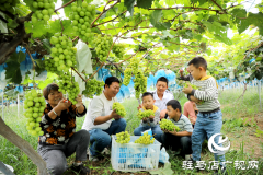 驿城区：农文旅融合   “家门口”的田园暑假游受热捧
