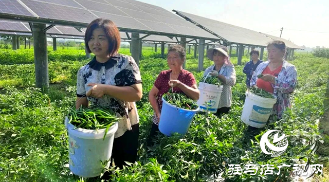 正阳县永兴镇：发挥党建引领作用 全面促进乡村振兴
