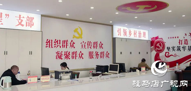 正阳县永兴镇：发挥党建引领作用 全面促进乡村振兴