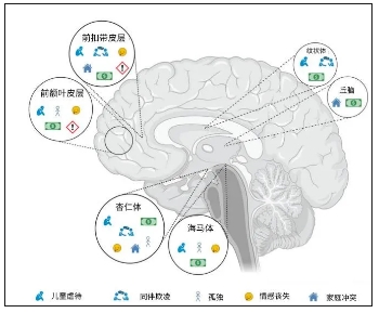 微信截图_20240813153733.png
