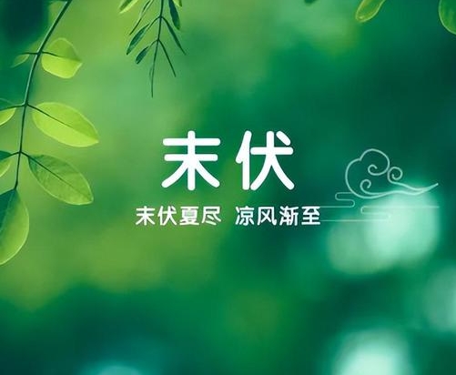 今天进入末伏！全国多地降雨连连 南方高温天气缓和