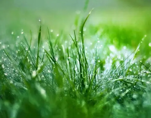 局部大雨！暴雨！驻马店气象最新发布
