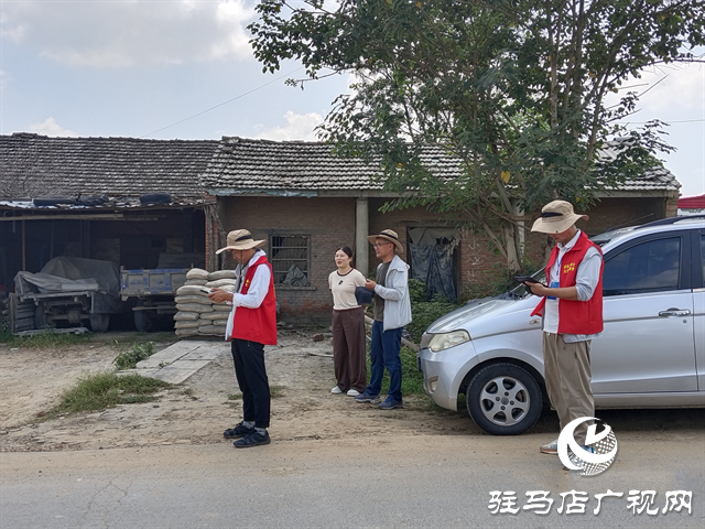 新蔡县文广旅局组织开展实地文物调查