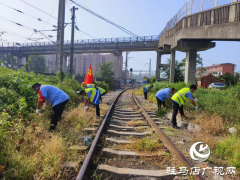 驻马店车务段明港车站：高温下清除危树杂草 守护铁路安全