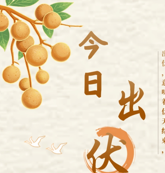 今日告别“三伏天”！出伏谨记“三防三宜”