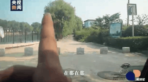 4.gif