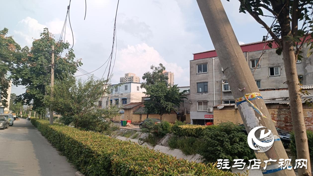 驻马店：线杆倾斜存隐患 多方联动解民忧