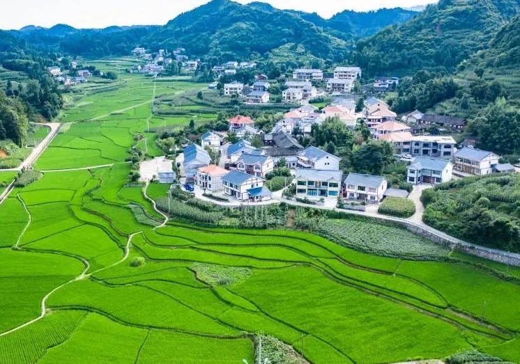 驻马店市城乡一体化示范区刘阁街道：扎实开展集中排查 筑牢防返贫坚实堡垒