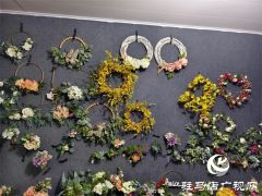 驿城区沙河店镇：特色产业激活乡村振兴新动能