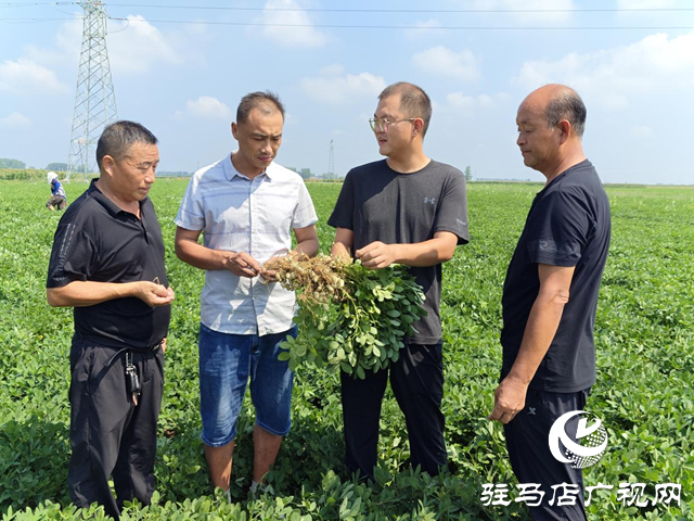 白启迪：返乡“新农人” 追逐“振兴梦”