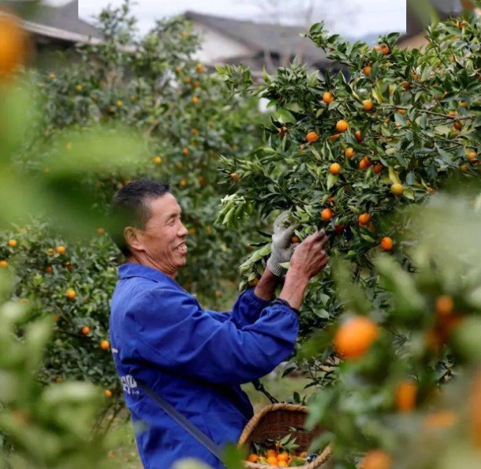 确山县：培育高素质农民队伍 推进乡村全面振兴