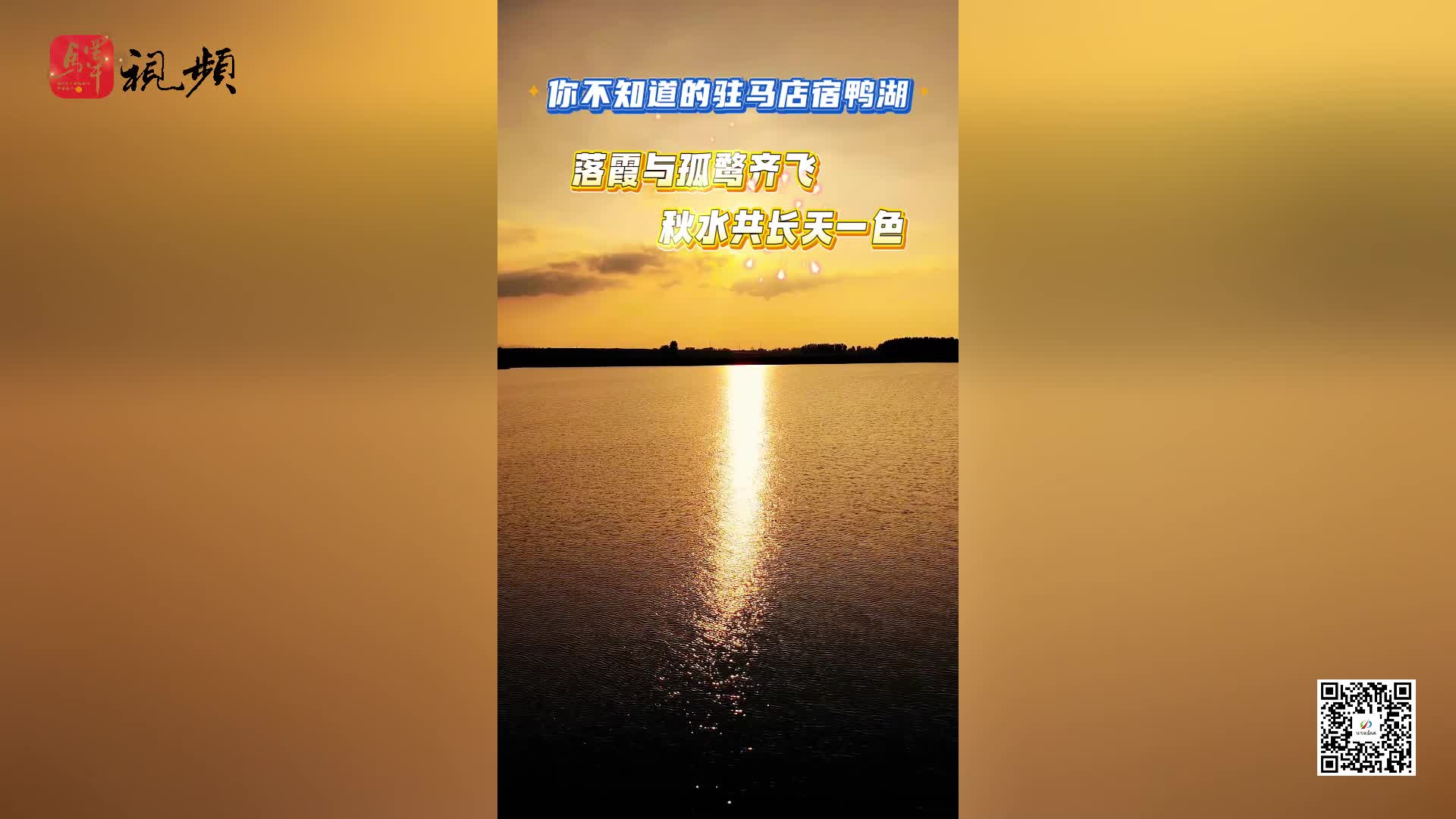 教材“焕新”亮点多，你不知道的宿鸭湖……|《今日驻马店》