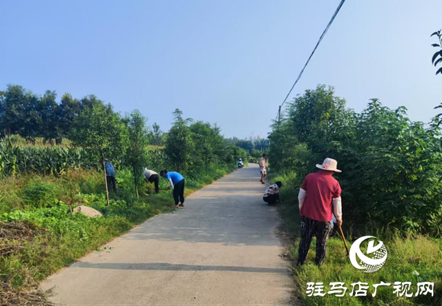 确山县李新店镇：畅通“粮道” 夯实秋收基础