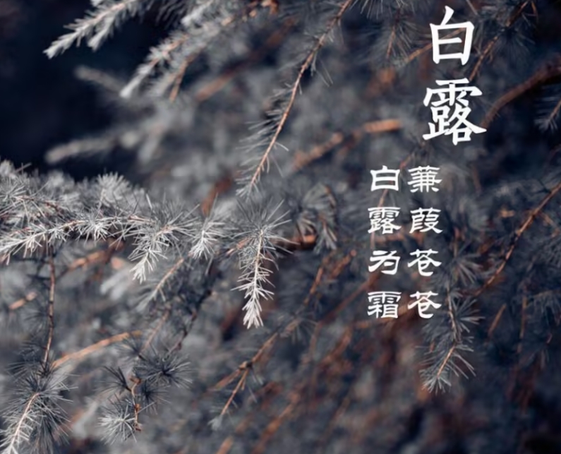 白露至 凉意起