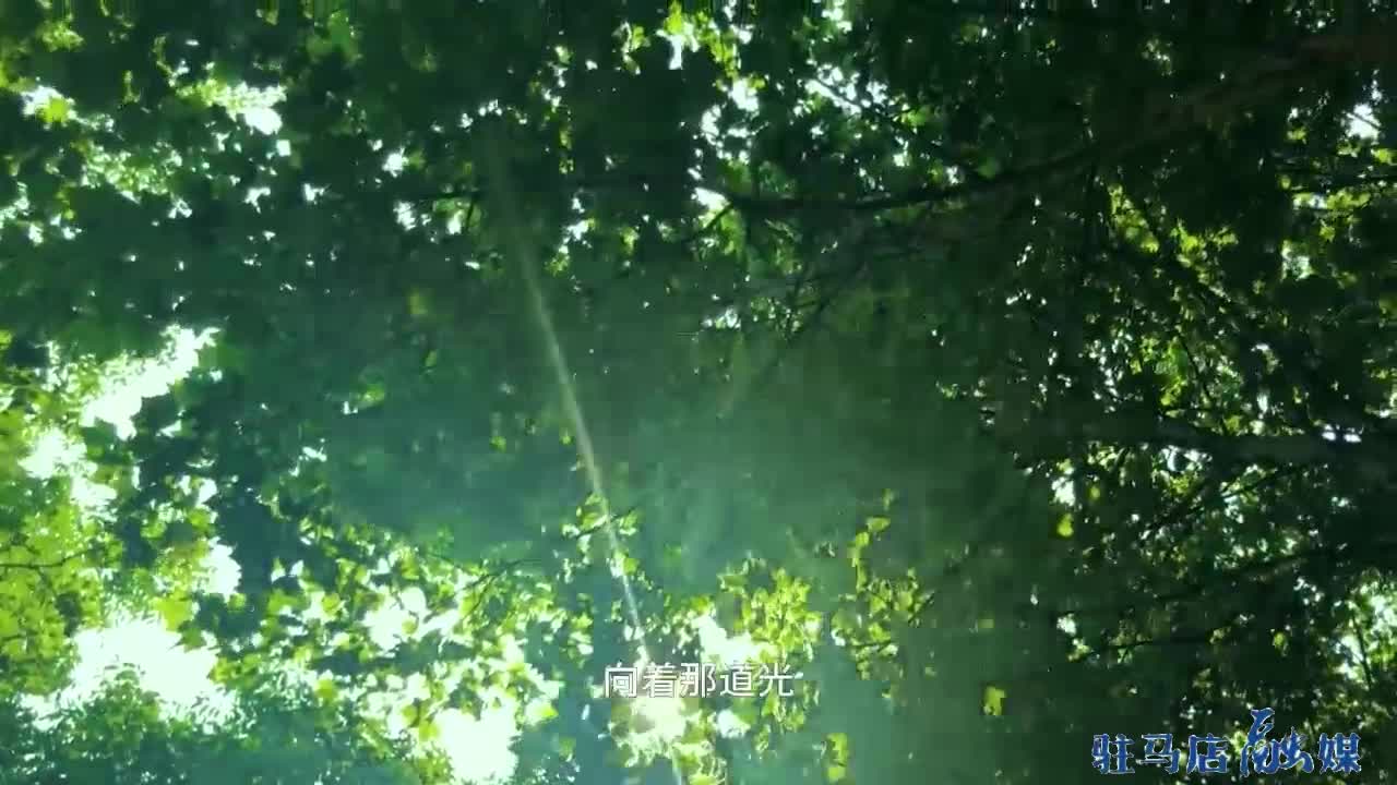 教师节——献给特别的您