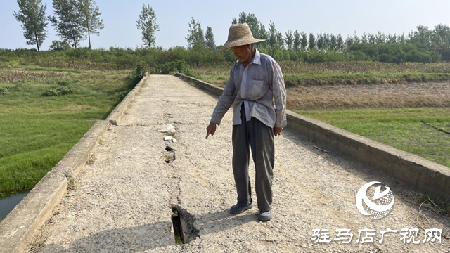 遂平县：唐岗桥存在严重安全隐患 “三秋”生产在即村民盼修复